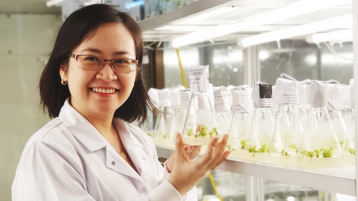 Nghiên cứu sinh Bùi Phương Thảo thực hiện các đề tài nghiên cứu về chỉnh sửa gien tại Viện Công nghệ sinh học, Viện Hàn lâm Khoa học và Công nghệ Việt Nam (VAST).