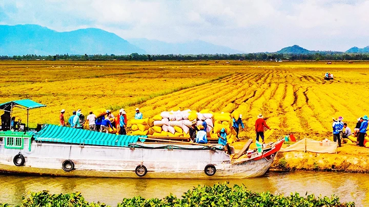 Đồng bằng sông Cửu Long là một trong những vựa lúa chính của cả nước. Ảnh: TÂM THƯ