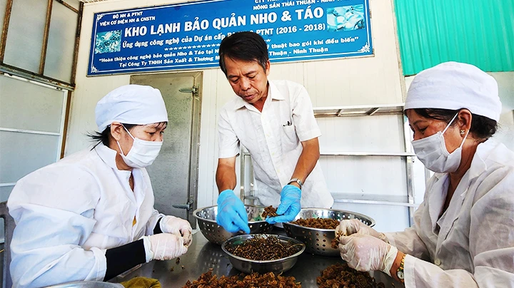 Trái ngọt trên vùng “đất khát”