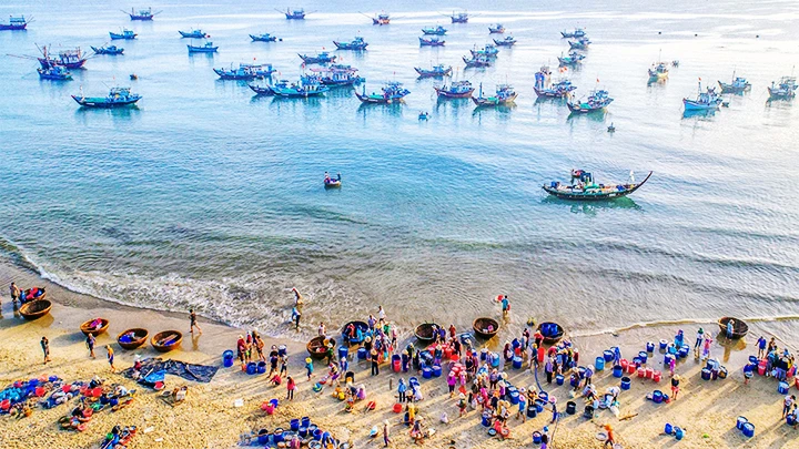 Thăm làng chài, nếm vị biển khơi