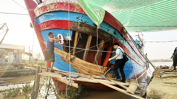 Ngành bảo hiểm đóng vai trò quan trọng trong việc bảo vệ tài chính cho người dân và doanh nghiệp trước thiên tai.