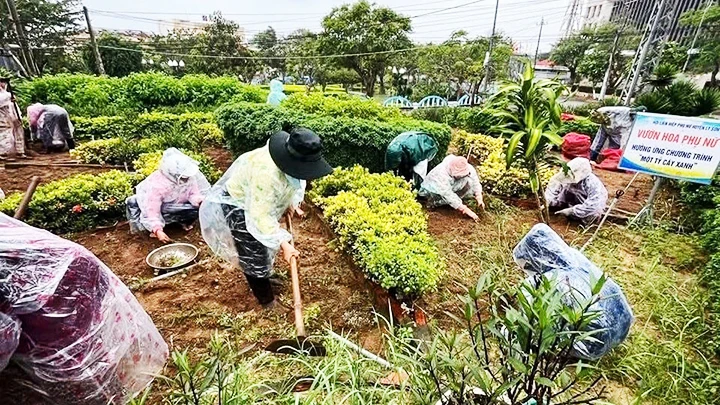 Phụ nữ đảo Lý Sơn cùng nhau chăm sóc khuôn viên.