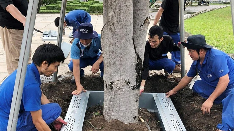 Thử nghiệm hệ thống trữ nước tưới ngầm cho cây xanh tại thị xã Phú Mỹ.