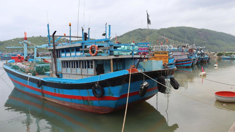 Hàng trăm tàu cá neo đậu tránh trú bão số 4 tại cảng Mỹ Á, thị xã.