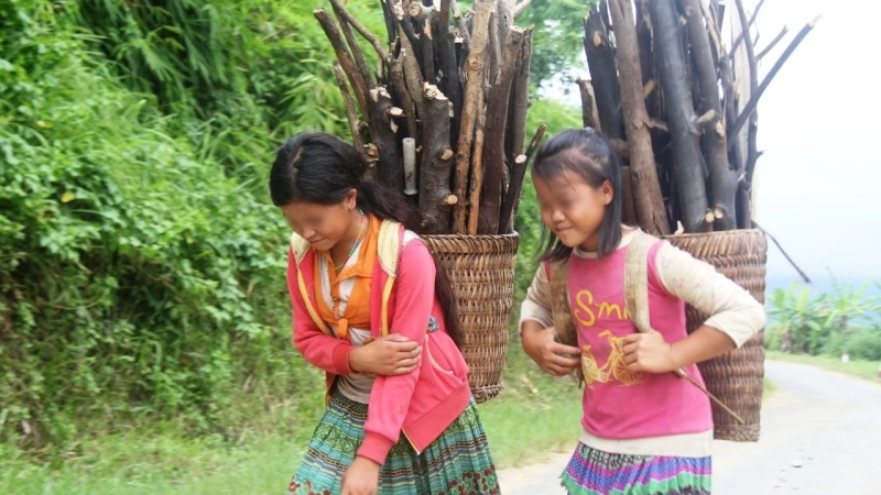 Nhiều học sinh người dân tộc thiểu số tại Đắk Nông phải bỏ lỡ việc học để phụ giúp gia đình những công việc không phù hợp với độ tuổi và sức lao động.