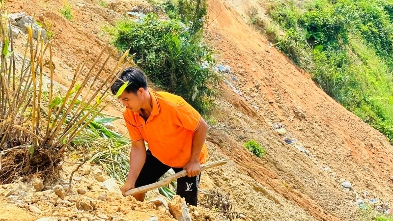 Lo sợ sạt lở mùa mưa sắp đến, anh Phạm Văn Hồng trồng cây trên mặt bằng vườn nhà do đơn vị thi công san lấp.
