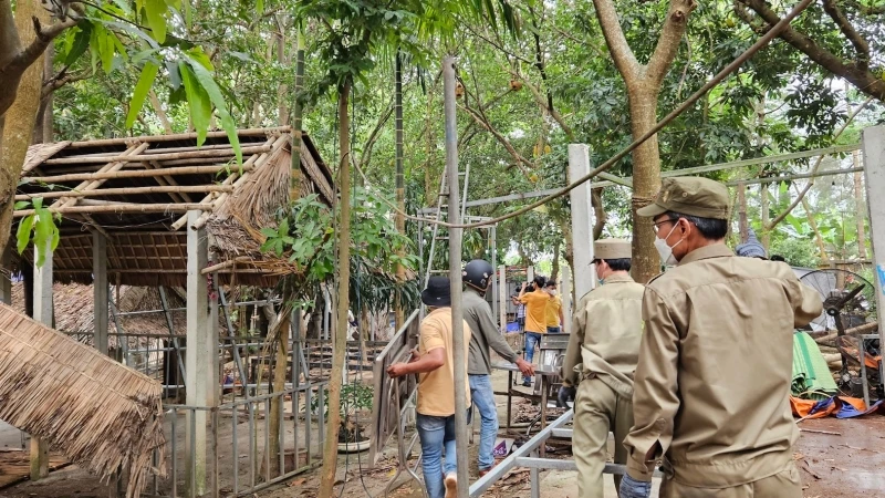 Lực lượng chức năng tiến hành cưỡng chế các công trình xây dựng trái phép trên bán đảo Sơn Trà.