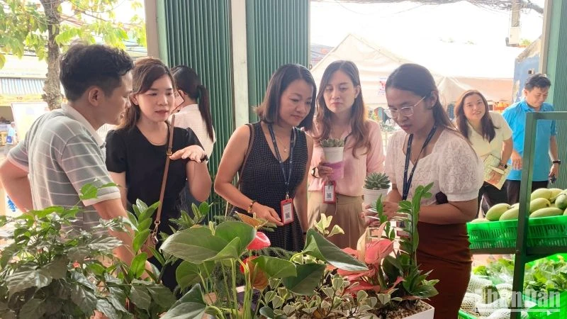 Đoàn viên thanh niên tìm hiểu mô hình kinh doanh hoa kiểng đô thị tại lễ ra mắt hợp tác xã.