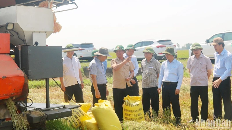 Phó Bí thư Tỉnh ủy, Chủ tịch Ủy ban nhân dân tỉnh Quảng Trị Võ Văn Hưng kiểm tra tiến độ thu hoạch lúa ở huyện Triệu Phong.