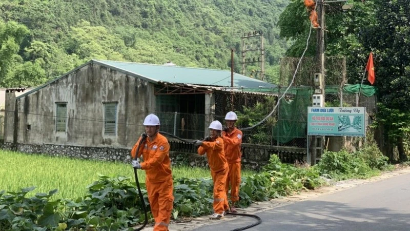 Công ty Điện lực Thái Nguyên sửa chữa, thay thế đường dây khi không bảo đảm cấp điện an toàn, ổn định.