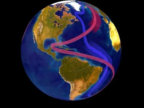 Hình ảnh minh họa hệ thống hải lưu AMOC. (Ảnh: NOAA)