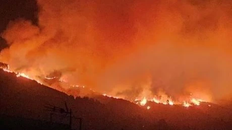 Quang cảnh một đám cháy rừng ở Tây Ban Nha. (Nguồn: Reuters)