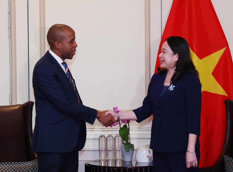 Phó Chủ tịch nước Võ Thị Ánh Xuân gặp gỡ doanh nghiệp Nam Phi.