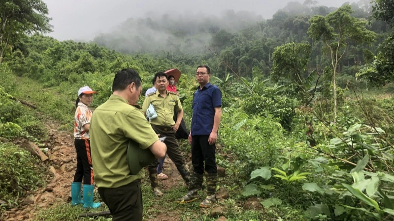 Ban Dân tộc, Hội đồng nhân dân tỉnh Bắc Kạn cùng lực lượng kiểm lâm khảo sát tại hiện trường vụ việc. (Ảnh: VĂN NHÂN)