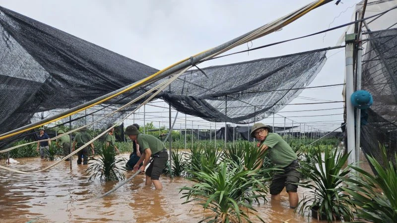 Đoàn thanh niên Công an tỉnh Hưng Yên đã huy động lực lượng đoàn viên thanh niên hỗ trợ người dân trên địa bàn xã Xuân Quan, huyện Văn Giang, tỉnh Hưng Yên di chuyển tài sản, cây cảnh, nhằm giảm thiểu thiệt hại do bão số 3 gây ra. 