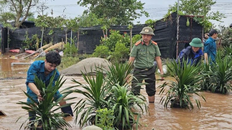 Lũ trên vùng đất bãi ngoài đê sông Hồng trên địa bàn huyện Văn Giang tỉnh Hưng Yên.