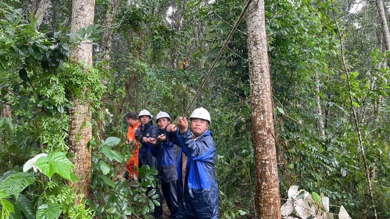 Các lực lượng EVN kéo dây sau bão để khôi phục lưới điện. 