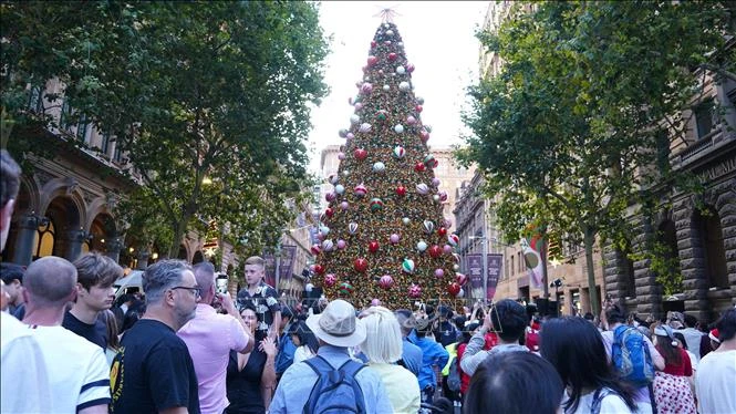 Quảng trường Martin Place (Sydney, Australia), nơi đặt cây thông Giáng sinh lớn, được trang trí với ánh đèn và phụ kiện lấp lánh. (Ảnh: Lê Đạt/PV TTXVN tại Australia)