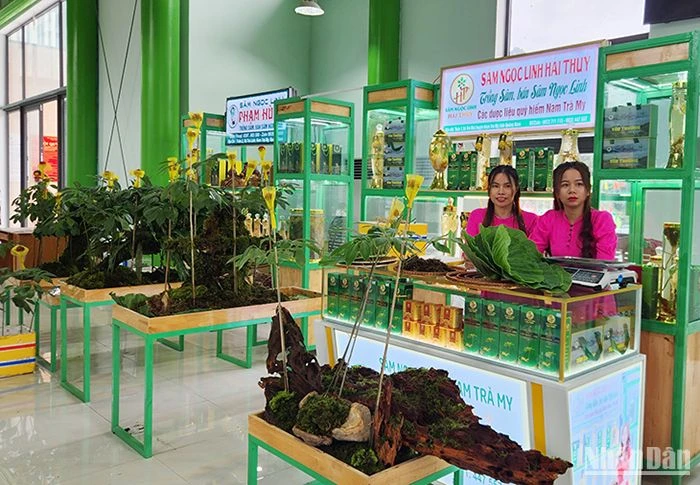 Hơn 50 gian hàng trưng bày, giới thiệu sản phẩm tại Phiên chợ sâm Ngọc Linh.