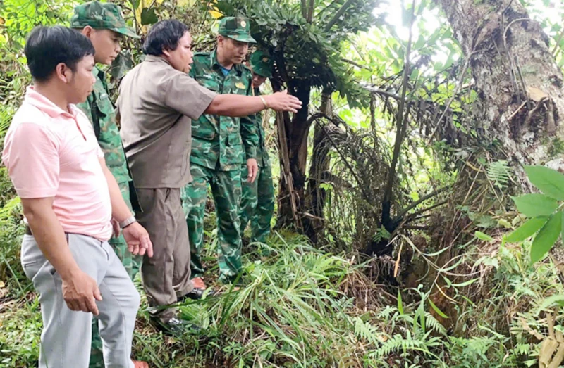 Lực lượng chức năng, kiểm tra, khảo sát khu vực có nguy cơ sạt lở tại khu vực thôn H’juh, xã Ch’ơm (huyện Tây Giang).