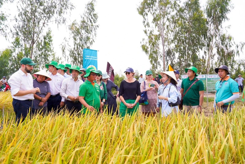 Chương trình gặp gỡ nông dân địa phương và các cơ quan chức năng trong dự án Chuyển đổi chuỗi giá trị lúa gạo thích ứng với khí hậu và bền vững - một dự án do Chính phủ Australia tài trợ và do SNV thực hiện. 