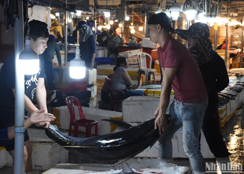 Không khí mua bán tấp nập tại Cảng cá Thọ Quang rạng sáng ngày 7/2 (28 Tết), ảnh ANH ĐÀO