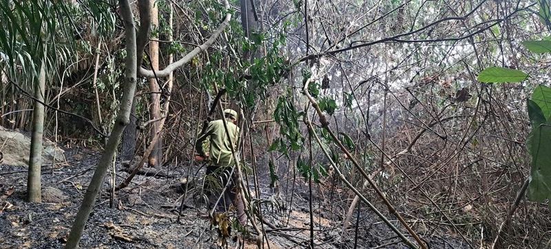 Vị trí cháy rừng chiều ngày 15/5, lực lượng chức năng đang tiếp tục túc trực triển khai các giải pháp nhằm ngăn lửa cháy trở lại. (Ảnh G.H)