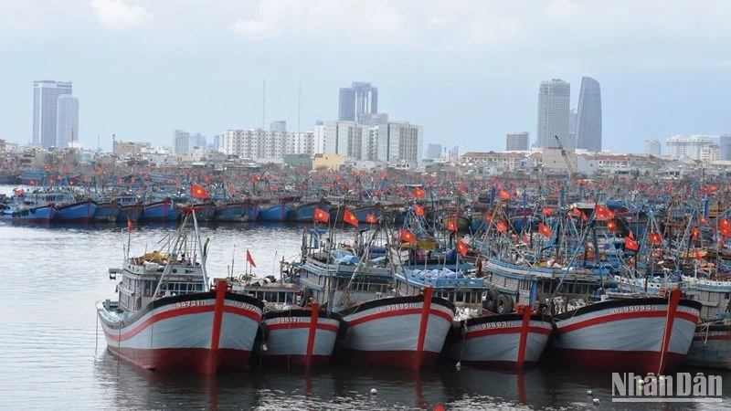 Tàu thuyền của ngư dân miền Trung neo đậu tại Âu thuyền Thọ Quang, quận Sơn Trà, thành phố Đà Nẵng. (Ảnh: ANH ĐÀO)