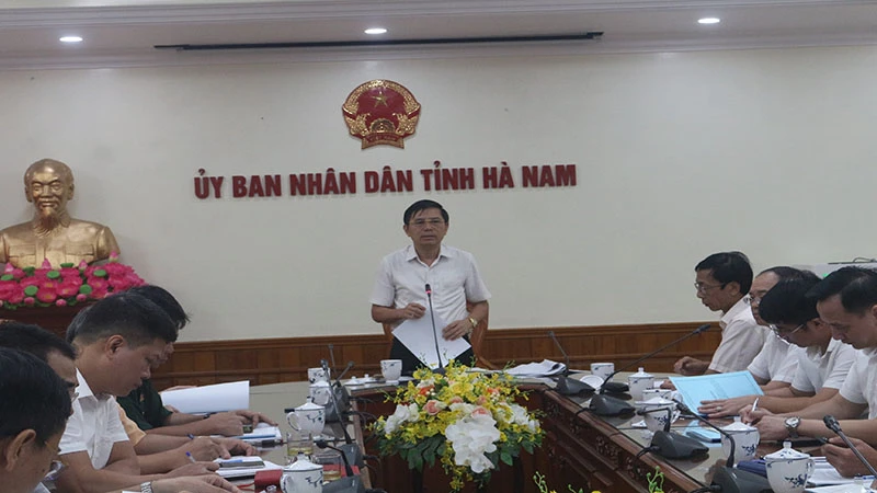 Đồng chí Trần Xuân Dưỡng, Phó Chủ tịch UBND tỉnh Hà Nam, phát biểu tại hội nghị.