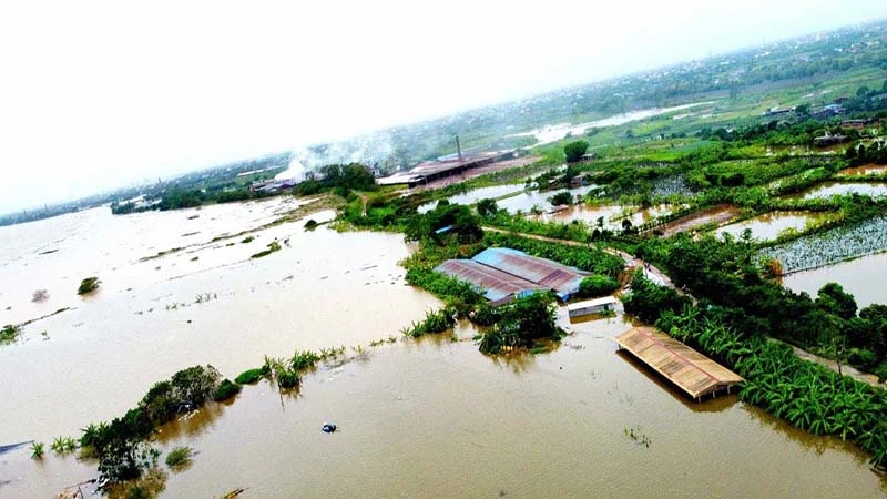 Nhiều khu chăn nuôi của người dân bị ngập sâu trong nước.