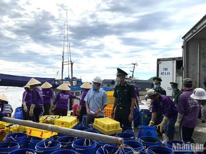 Lực lượng chức năng đang tuyên truyền ngư dân chống khai thác hải sản bất hợp pháp, không báo cáo và không theo quy định (IUU) tại cảng cá Phú Lạc, thị xã Đông Hòa.