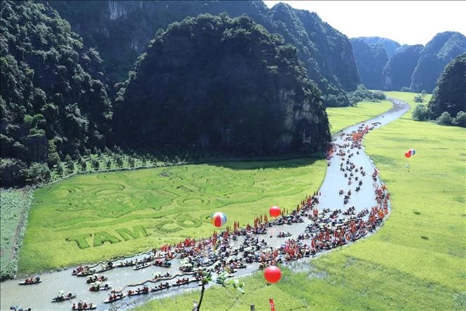 Nổi bật trên đồng lúa Tam Cốc năm nay là bức tranh cậu bé cưỡi trâu khổng lồ, lấy cảm hứng từ tranh dân gian "Mục đồng thổi sáo" gắn liền với làng quê Việt Nam. (Ảnh: Đức Phương)