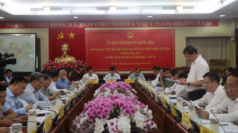 Ông Nguyễn Công Vinh, Phó Chủ tịch Ủy ban nhân dân tỉnh báo cáo với Đoàn giám sát.