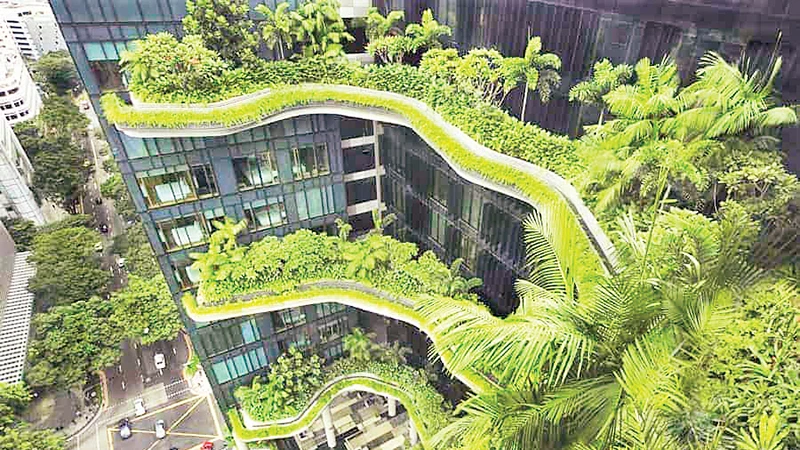 Khách sạn Parkroyal ở Pickering (Singapore) với vườn trên cao. Ảnh | WOHA