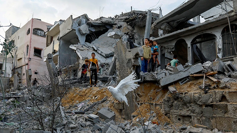 Chim bồ câu bay trên đống đổ nát của căn nhà bị vụ tấn công của Israel phá hủy tại Khan Younis, phía nam Dải Gaza tháng 10/2023. Ảnh | REUTERS/ Ibraheem Abre Mustafa