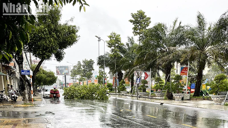 Mưa lớn gây đổ cây xanh trên đường phố Sóc Trăng.