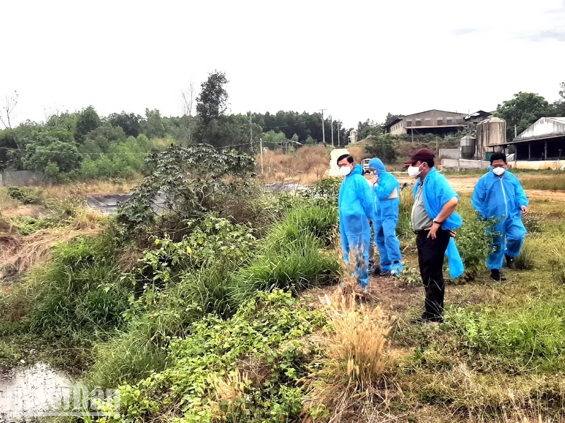 Bí thư Tỉnh ủy Đồng Nai Nguyễn Hồng Lĩnh cùng Đoàn công tác kiểm tra tại một cơ sở chăn nuôi lợn ở huyện Long Thành năm 2023.