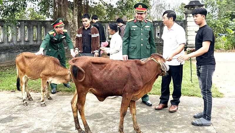 Ủy ban Mặt trận Tổ quốc Việt Nam huyện và Ban Chỉ huy Quân sự huyện Bố Trạch (Quảng Bình) tặng bò giống cho gia đình chiến sĩ mới có hoàn cảnh khó (Ảnh: LM)