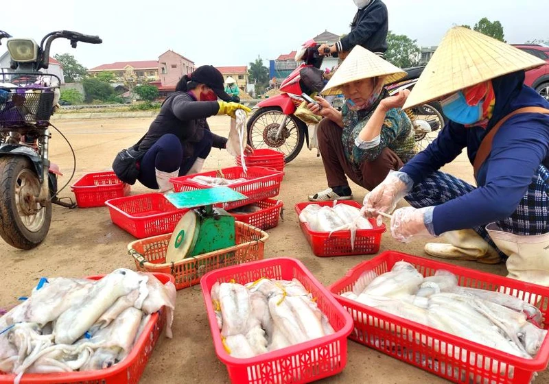 Cảnh mua bán hải sản ngay trên bến cá Cảnh Dương (Quảng Bình).