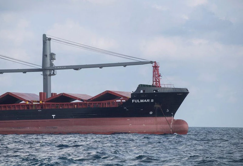 Tàu hàng thương mại đầu tiên từ Istanbul tới Ukraine dưới Sáng kiến Ngũ cốc Biển Đen. (Ảnh: Reuters)