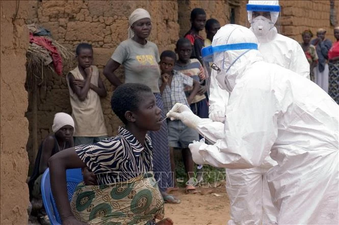 Bác sĩ thuộc Tổ chức Y tế thế giới (WHO) lấy mẫu xét nghiệm từ bệnh nhân nghi nhiễm virus Marburg ở Kinguangua, Angola. (Ảnh tư liệu: AFP/TTXVN)