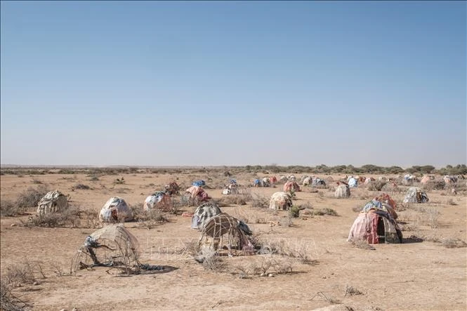 Các lều tạm bị người dân bỏ lại khi phải sơ tán do hạn hán tại Gode, Ethiopia ngày 12/1/2023. (Ảnh: AFP/TTXVN)