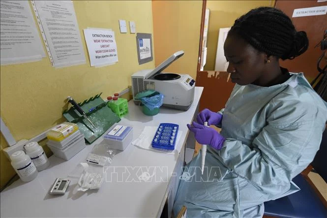 Nhân viên y tế làm việc tại phòng thí nghiệm tại Viện kiểm soát và nghiên cứu bệnh cúm Lassa ở Irrua, bang Edo, Nigeria. (Ảnh: AFP/TTXVN)