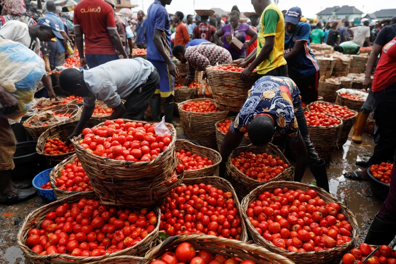 Người dân mua bán rau củ tại chợ Mile 12 ở Lagos, Nigeria, ngày 13/5/2022. (Ảnh: Reuters)
