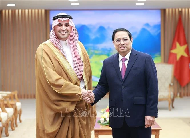 Thủ tướng Phạm Minh Chính tiếp Đại sứ Saudi Arabia tại Việt Nam Mohammed Ismaeil A. Dahlwy. (Ảnh tư liệu: TTXVN)