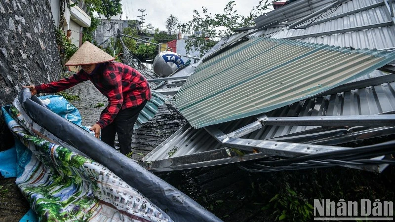 Người dân Quảng Ninh khẩn trương khắc phục hậu quả sau bão số 3. (Ảnh: THÀNH ĐẠT)