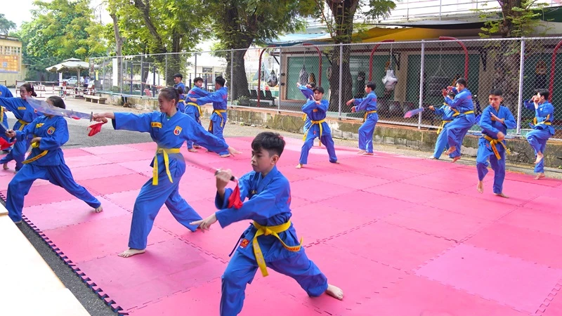 Các võ sinh Vovinam tập duyệt chuẩn bị cho Liên hoan Võ thuật quốc tế Thành phố Hồ Chí Minh 2024.