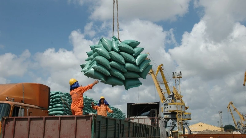 Xuất khẩu gạo sang Trung Quốc sụt giảm mạnh. 