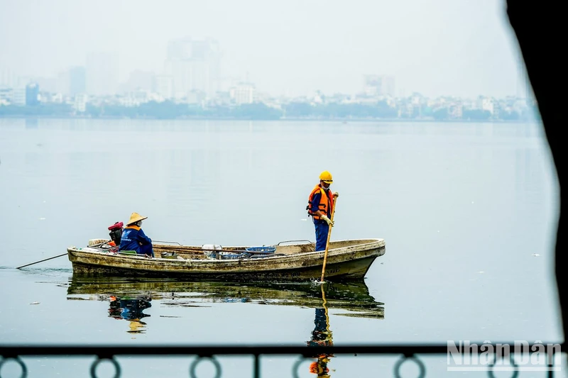 Công nhân công ty thoát nước vớt cá chết trên mặt hồ Tây tháng 9/2023.