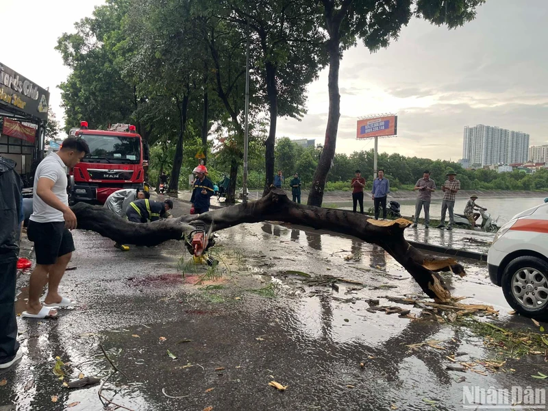 Hiện trường vụ tai nạn thương tâm tại đường Nguyễn Hữu Thọ.